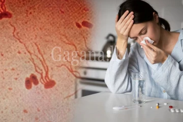 මෙරට "ටයිපොයිඩ්" අවදානම වැඩිවෙයි. - සෞඛ්‍ය අංශ වලින් අනතුරු ඇඟවීමක්.