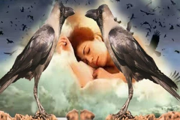 கனவில் அடிக்கடி காகம் வருதா? அவை உணர்த்தும் எச்சரிக்கை இது தான்