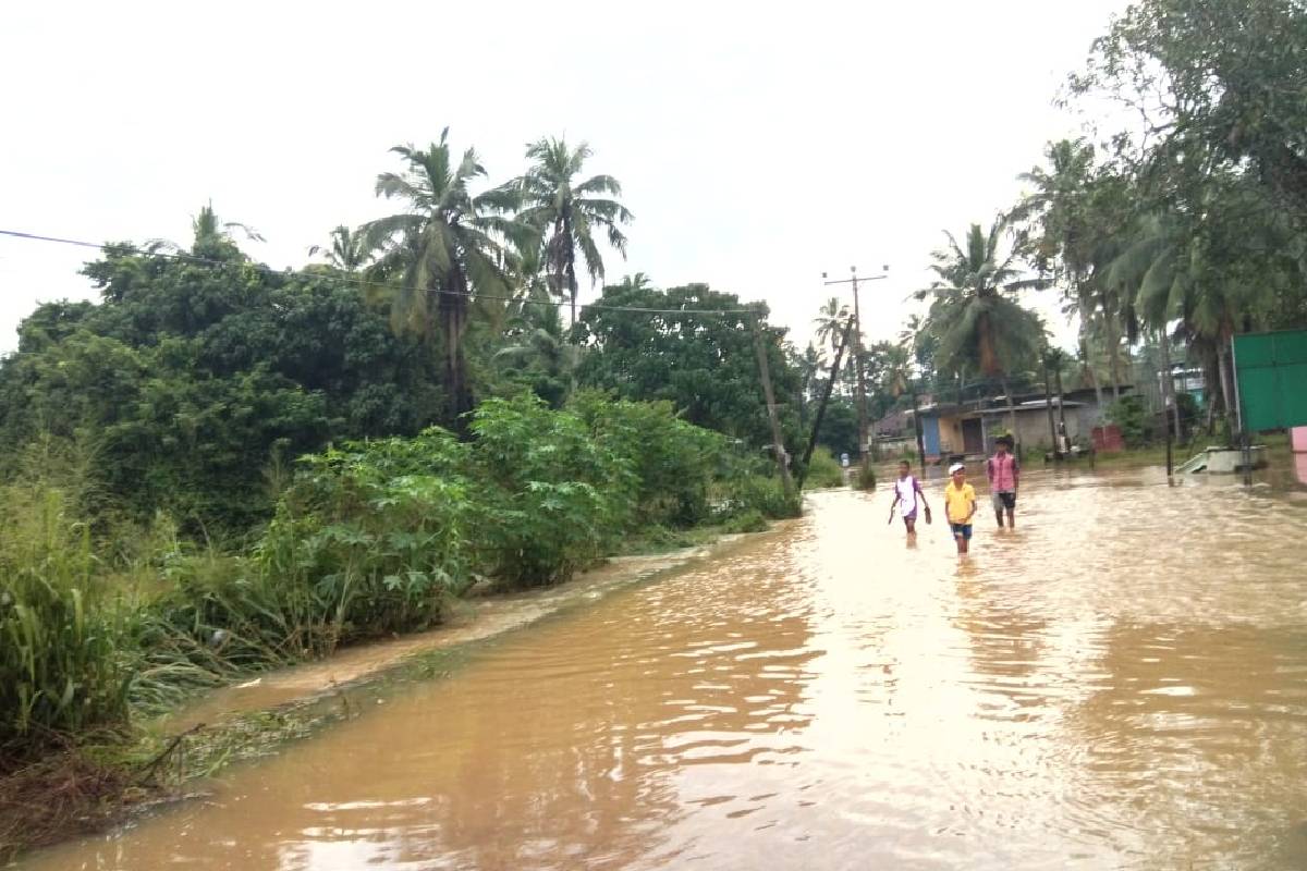 அவதானம்! அத்தனகலு ஓயா - உருவல் ஓயா கரையோர மக்களுக்கு வெள்ள எச்சரிக்கை | Flood Danger Warning For The Attanagalu Oya அவதானம்! அத்தனகலு ஓயா - உருவல் ஓயா கரையோர மக்களுக்கு வெள்ள எச்சரிக்கை | Flood Danger Warning For The Attanagalu Oya