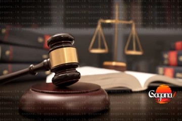 කෙහෙලියගේ නඩුවකට සම්බන්ධ දෙදෙනෙකුට ඇප