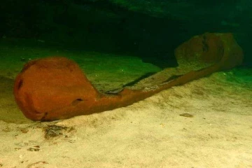 1000 ஆண்டுகள் பழமையான மாயன் படகு கண்டுபிடிப்பு