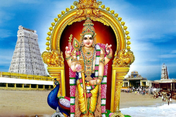 இலவசமாக முருகப்பெருமானின் ஆறுபடை வீடுகளை தரிசனம் செய்ய ஒரு அற்புத வாய்ப்பு | 2025 Murugan 6 House Free Tour By Tnhrce In Tamil