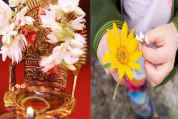 மாலை நேரங்களில் இந்த தப்பி தவறிக் கூட பண்ணிடாதீங்க!