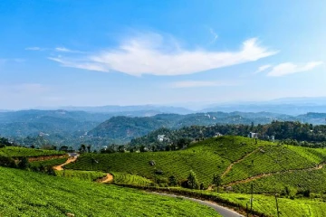 உலக சுற்றுலாவில் இலங்கையின் பெருமை ; முக்கிய இடம்பிடித்த ஹட்டன் தேயிலை தோட்டம்