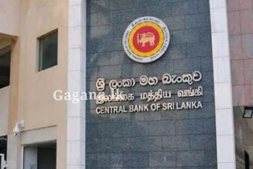 විශේෂ විධි විධාන බැංකු පනත් කෙටුම්පත සම්මතයි - අරමුණ වැඩබලන මුදල් ඇමති කියයි.