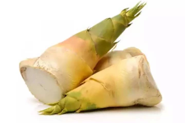 மூங்கில் தண்டு சாப்பிட்டால் எடை குறையுமா? அட இவ்வளவு நன்மையா?