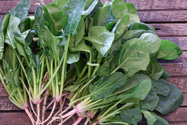 சிறுநீரக பிரச்சனை உள்ளவரா நீங்கள்? அப்போ இந்த காய்கறிகளை எடுத்துக்காதீங்க | Kidney Disease Patient Avoid These Vegetable சிறுநீரக பிரச்சனை உள்ளவரா நீங்கள்? அப்போ இந்த காய்கறிகளை எடுத்துக்காதீங்க | Kidney Disease Patient Avoid These Vegetable