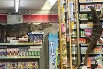 சூப்பர் மார்க்கெட்டில் ராட்சத உடும்பு செய்த ரகளை... தீயாய் பரவும் வைரல் காட்சி