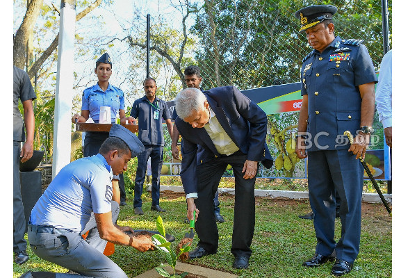 இலங்கையில் பலாப்பழத்தை ஊக்குவிக்க புதிய முயற்சி | New Initiative To Promote Jackfruit In Sri Lanka