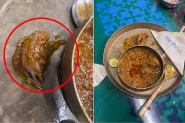 ஆர்டர் செய்த சிக்கன் கிரேவியில் குட்டி எலி! பதறிய வாடிக்கையாளர்