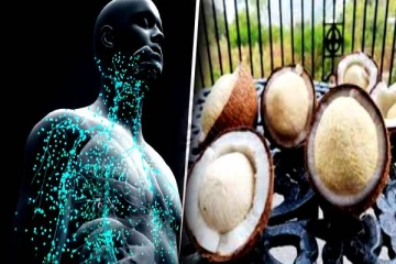 சர்க்கரை வியாதியுள்ளவர்கள் தேங்காய் பூ சாப்பிட்டால் என்ன நடக்கும் தெரியுமா?