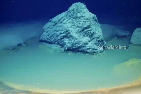 எந்த ஒரு உயிரினமும் உடனடியாக உயிரிழந்துவிடும்; விஞ்ஞானிகள் பகீர் தகவல்! | An Underwater Wonderland
