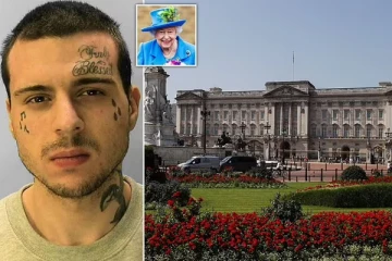 'ராணியைப் பார்க்க வேண்டும்' பக்கிங்ஹாம் அரண்மனைக்குள் அத்துமீறி நுழைந்த இளைஞர் கைது