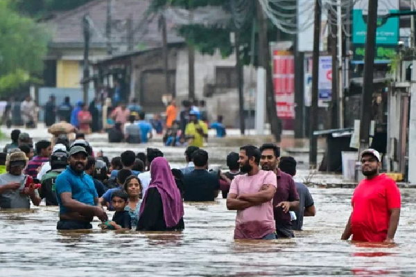சுற்றாடல் அமைச்சு வெளியிட்ட தகவல் | Information Released Ministry Of Environment சுற்றாடல் அமைச்சு வெளியிட்ட தகவல் | Information Released Ministry Of Environment