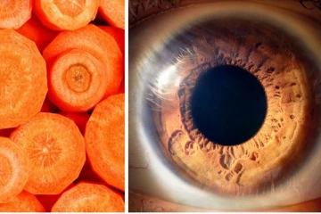 සිරුරේ කොටස් වලට සමානව බිහි වූ ආහාර සහ ඒවායේ ප්‍රතිලාභ.