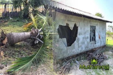 திருகோணமலையில் தொடரும் காட்டு யானைகளின் அட்டகாசம்!