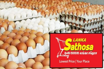 இறக்குமதி செய்யப்படும் முட்டை தொடர்பில் விசேட அறிவித்தல்