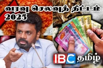 புத்தாண்டு காலத்தில் குறைந்த விலையில் பொருட்கள் - மக்களுக்கு மகிழ்ச்சி தகவல்