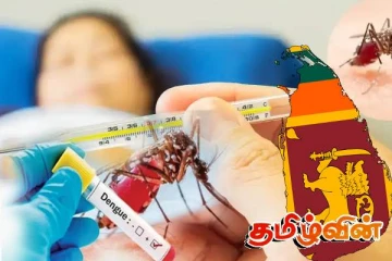 நாட்டில் டெங்கு நோயாளர்களின் எண்ணிக்கை அதிகரிப்பு