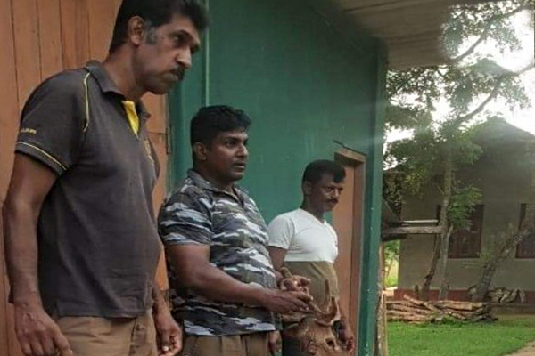 சட்டவிரோதமான முறையில் மானை வேட்டையாடியவர் கைது! | Illegal Deer Hunter Arrested