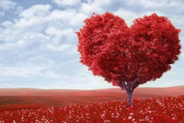 காதலர் தினத்திற்கு அரசாங்கம் விடுத்த முக்கிய அறிவிப்பு