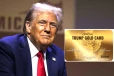 ட்ரம்ப்பின் கோல்டு கார்டு விசா திட்டம்: ஒரே நாளில் 1000 கார்டுகள் விற்பனை