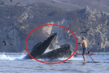 2 பெண்களை அப்படியே விழுங்கிய திமிங்கலம்: இணையத்தில் வேகமாக பரவும் வீடியோ