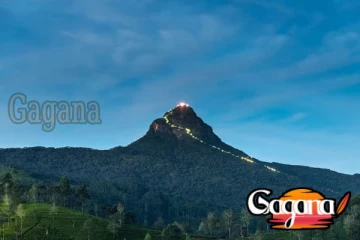 ශ්‍රී පාදස්ථානය වන්දනාවට විශාල ජනකායක්