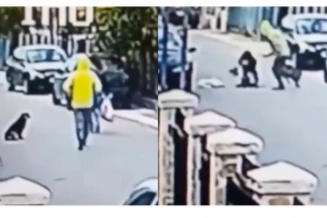 திருடனிமிருந்து பெண்ணை காப்பாற்றிய நாய் - வைரலாகும் வீடியோ - நெட்டிசன்கள் நெகிழ்ச்சி