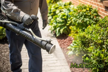 நுளம்பு கட்டுப்பாட்டு தேசிய வாரம் இரண்டாம் நாளின் ஆய்வுகள்..!