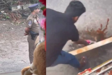 வீதியில் வெற்றிலை எச்சில் துப்பிய சாரதிக்கு இப்படி ஒரு நிலை..!(Video)