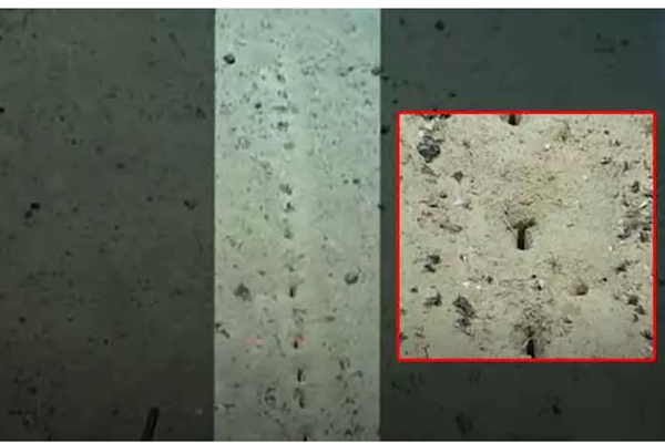 மர்ம துளைகள் காரணத்தை தேடி அறியும் ஆய்வாளர்கள் | Mysterious Holes