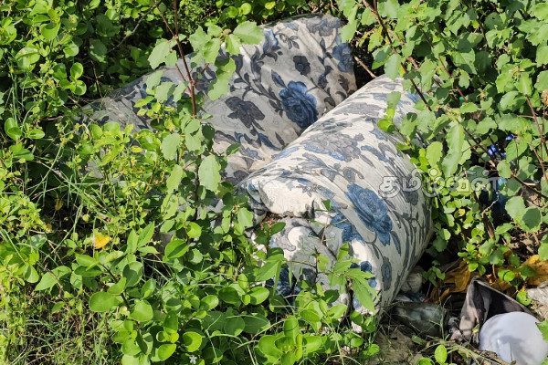 யாழ். காக்கைதீவு சந்தைக்கு அருகில் வீசப்பட்ட மாட்டின் தலை உட்பட கழிவுப்பொருட்கள் | Jaffna Garbage Dumped Near Kakai Island Market