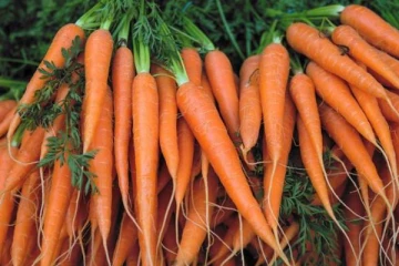 நுவரெலியாவில் வரலாற்றில் முதன்முறை... உச்சம் தொட்ட மரக்கறிகளின் விலை!