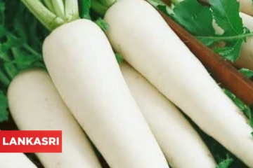 உடல் எடை குறைக்க, கண் பார்வையை மேம்படுத்த இந்த காயை வாரத்திற்கு 2 முறை சாப்பிடுங்க!