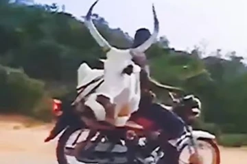 எருதுடன் அசால்டாய் பைக் ஓட்டும் நபர்..சுற்றிச்சுற்றி வேடிக்கை பார்க்கும் ருசிகரம்