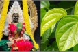 ஜாதகத்தில் உள்ள தோஷங்கள் விலக சக்தி வாய்ந்த 5 வெற்றிலை பரிகாரம்