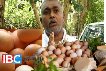 முட்டை பிரியர்களுக்கு மகிழ்ச்சியான செய்தி : விலையில் ஏற்பட்ட அதிரடி மாற்றம்