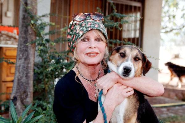 ஒரு நூற்றாண்டின் புராணம் பிரிஜிட் பார்டோ காலமானார்! | Brigitte Bardot Has Passed Away ஒரு நூற்றாண்டின் புராணம் பிரிஜிட் பார்டோ காலமானார்! | Brigitte Bardot Has Passed Away