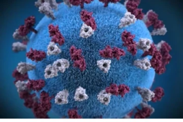 ஒட்டாவாவில் ஒரே குடும்பத்தைச் சேர்ந்த 5 பேருக்கு தட்டம்மை