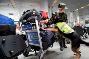 வெளிநாடு ஒன்றிற்குள் நுழைய முயன்ற பிரித்தானியப் பெண்ணைத் தடுத்த மோப்பநாய்: தெரியவந்த அதிர்ச்சியளிக்கும் உண்மை