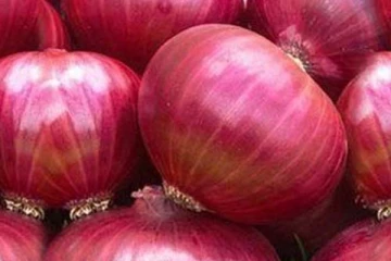 එකවර බී ළුෑණු මිලෙහි සිදු වූ වෙනස..