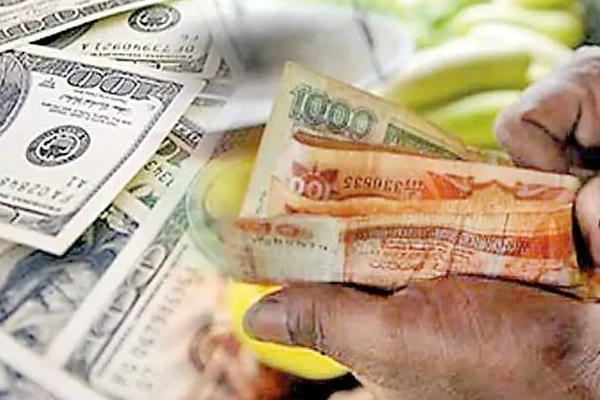 டொலருக்கு நிகரான ரூபாவின் பெறுமதியில் ஏற்பட்டுள்ள மாற்றம் | Usd To Lkr Srilanka Rupee Appreciation Dollar Rate