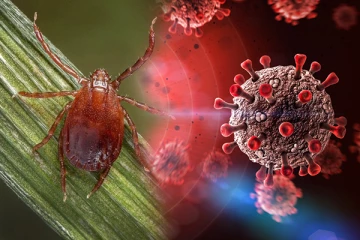 பிரித்தானியாவில் பயங்கர வைரஸ் தொற்றுக்கு ஆளாகியுள்ள பெண்