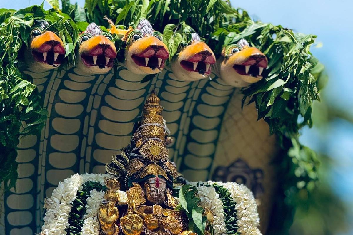 பல்லாயிரக்கணக்கான பக்தர்கள் புடைசூழ தேரிலே காட்சியளித்த நயினை நாகபூசணி அம்மன் | Nainativu Naga Pusani Amman Kovil Chariot Festival
