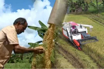 පොහොර අර්බුදය මැද කැපෙන ගොයමේ අස්වැන්න සරුද ? අසාර්ථක ද? ආහාර අර්බුදයක් ඇති වෙයි ද? (VIDEO)
