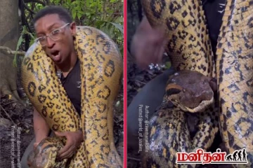 ரட்சத பச்சை அனகொண்டாவை லாவகமாக தூக்கிய இளைஞன்! வைரலாகும் காணொளி