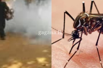 හොඳට හැඳ පැළඳ ඇවිත්, මදුරුවන්ට දුම් ගහන මුවාවෙන් නිවසක රත්තරන් බඩු ටික කොල්ල කාලා..