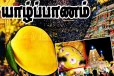 யாழில் 11 இலட்சத்திற்கு ஏலம் போன ஒரு மாம்பழம்..! முருகன் ஆலயமொன்றில் சம்பவம்