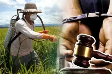 கொழும்பில் வசிக்கும் மூவர் கைது - வெளியான காரணம்